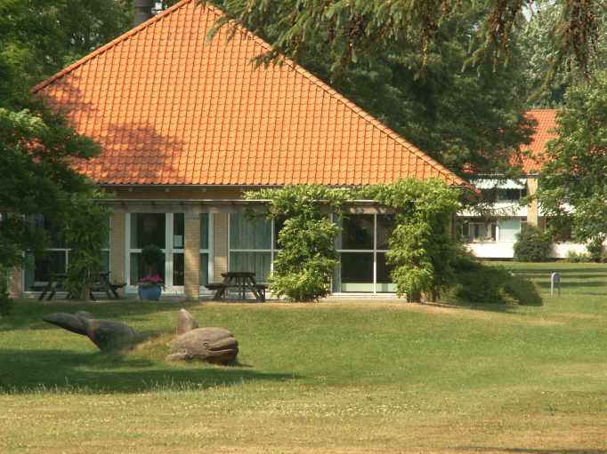 bil503.jpg